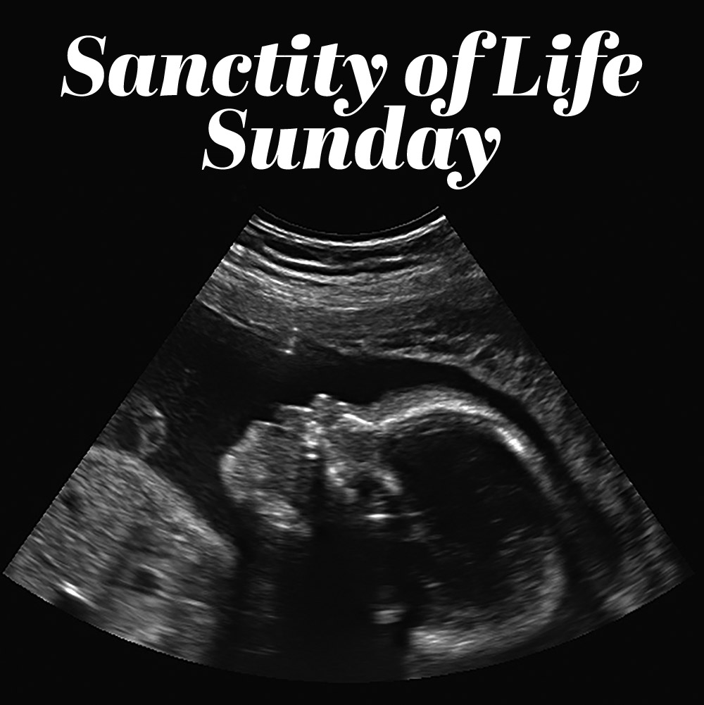 Sanctity of Life Sunday episode artwork
